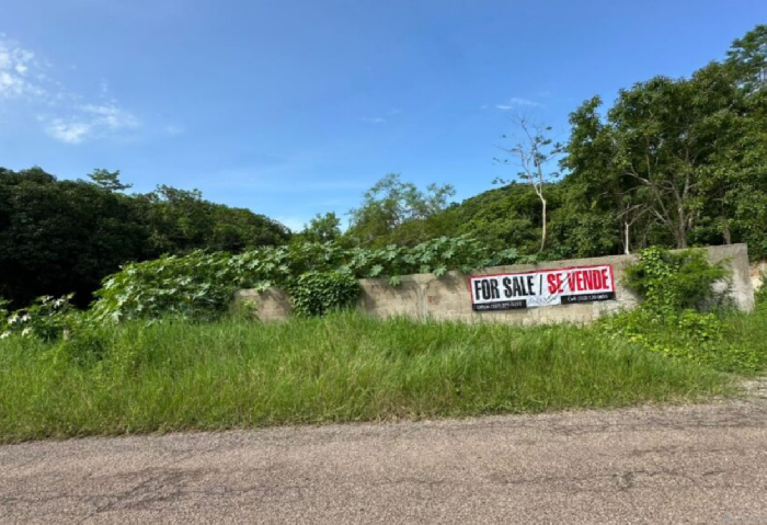 Discover the Best Properties for Sale in San Pancho with Galvan Real Estate